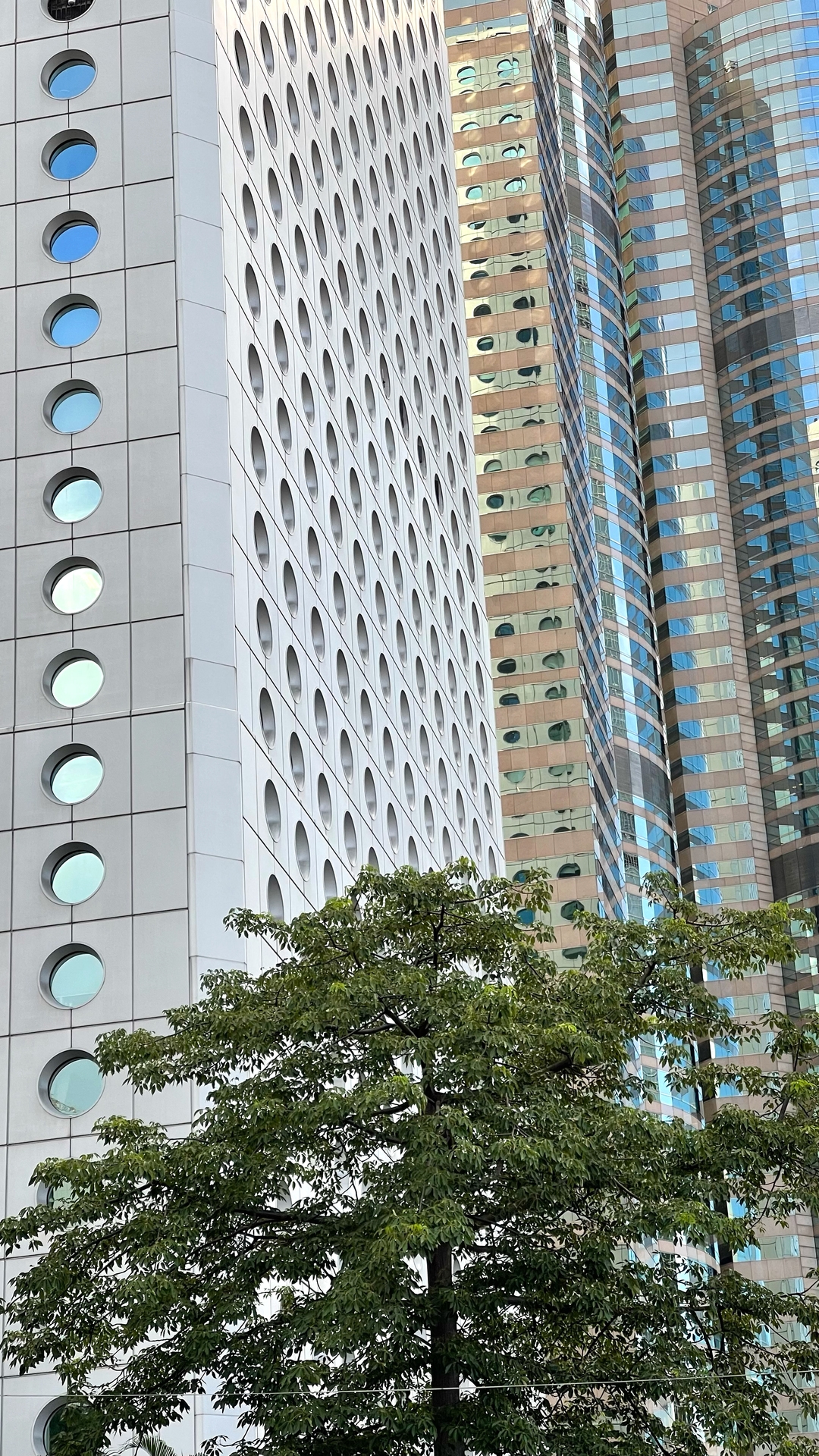 commercial tree service woodinville