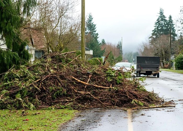 emergency tree services woodinville